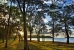Forest, Ocean View